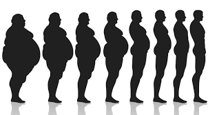 Where does body fat go when you lose weight?